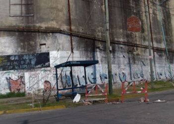 Preocupación de vecinos y comerciantes por el ex Frigorífico Pedro Hermanos
