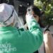 Lanús: Se Detectaron Más De 130 Nuevos Casos