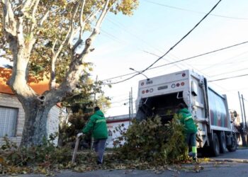 CONTINÚAN LAS TAREAS DE PODA EN EL DISTRITO