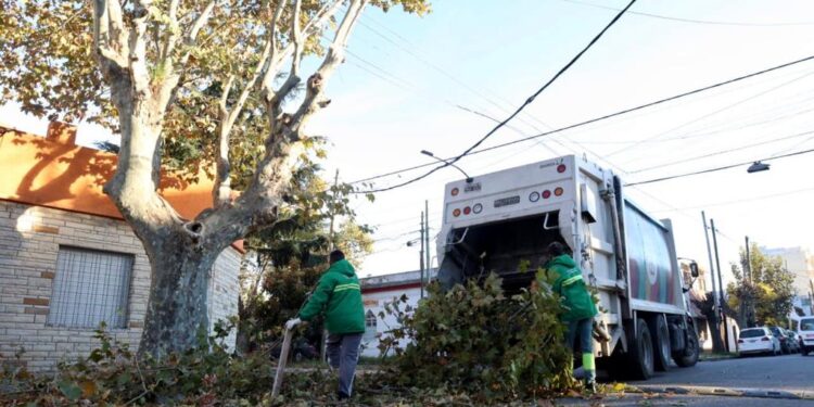CONTINÚAN LAS TAREAS DE PODA EN EL DISTRITO