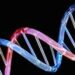 La secuenciación del genoma humano permitirá saber más sobre el cáncer