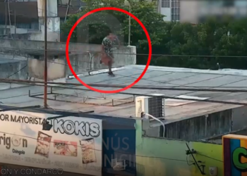 LANÚS: LO DETUVIERON CUANDO, ARMADO CON UN LADRILLO, INGRESABA A LAS CASAS POR LOS TECHOS
