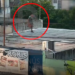 LANÚS: LO DETUVIERON CUANDO, ARMADO CON UN LADRILLO, INGRESABA A LAS CASAS POR LOS TECHOS