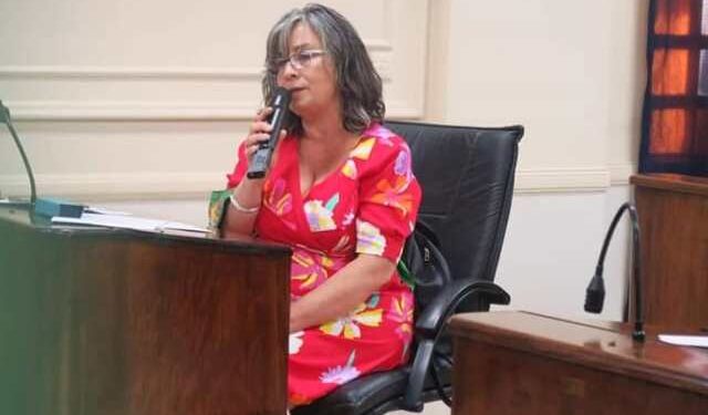 Gradaschi advirtió que el nuevo Código de Edificación “fortalece la idea de que Lanús es un apéndice de la CABA”