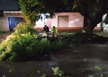 DEFENSA CIVIL DESPLIEGA CINCO CUADRILLAS PARA CONTENER LOS EFECTOS DEL TEMPORAL EN DISTINTOS BARRIOS DE LANUS