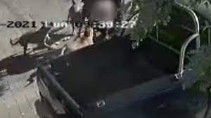 Condenaron a 6 años y medio de prisión al dueño de tres perros que mutilaron a un hombre