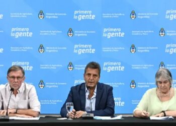 Gripe Aviar: anunciaron medidas para reforzar la prevención