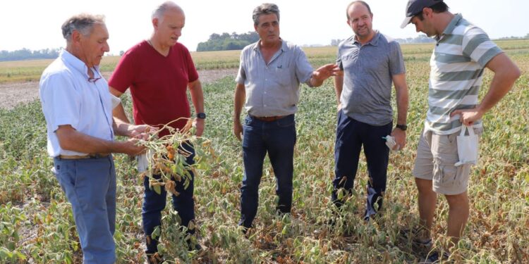 GRINDETTI DURO CONTRA EL GOBIERNO PROVINCIAL: “ LA SEQUÍA ESTÁ EN LA GESTIÓN PROVINCIAL, NO HAY IDEAS NI PROPUESTAS”