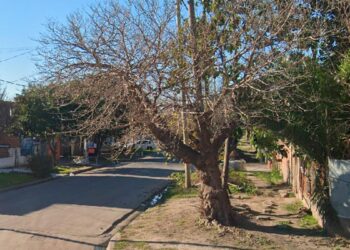 UNA EMBARAZADA FUE ASESINADA EN SU CASA DE MONTE CHINGOLO