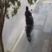 Motochorro robó una moto y casi atropella a unos nenes en Villa Diamante