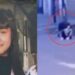 Lanús: motochorros mataron a una nena de 11 años cuando iba camino al colegio