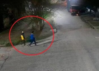 Asesinaron a un jubilado en Lanús cuando paseaba a su perro y detuvieron a los dos sospechosos