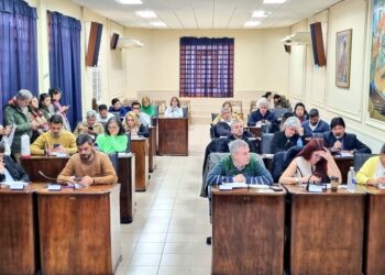 Lanús: El Municipio deberá priorizar las compras a talleres de personas con discapacidad