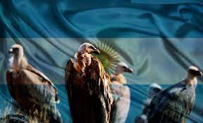 El FMI, «interesado» en brindar un nuevo préstamo a la Argentina cuando asuma Milei