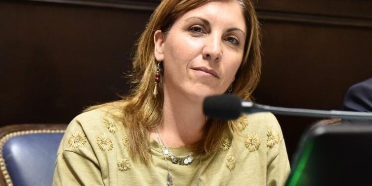 La Libertad Avanza no respaldará endeudamiento: “El Gobierno de Kicillof no transparenta las cuentas del estado”