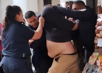 Detienen a un ladrón en pleno centro de Lomas