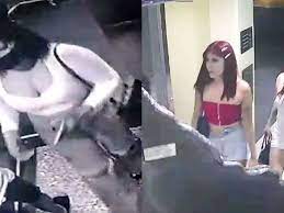 Lomas de Zamora: «Viuda Negra» lo sedujo a través de Tinder, lo drogó y le robó todo con dos cómplices
