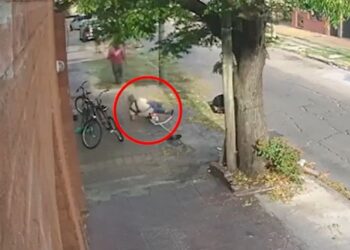 Cortaba el pasto, quedó en medio de una persecución y lo mataron