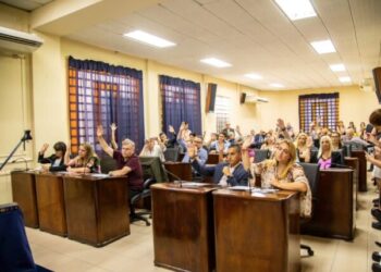 Lanús: Por unanimidad el Concejo Deliberante aprobó la emergencia sanitaria por los casos de dengue