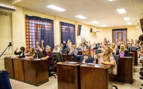 Lanús: Por unanimidad el Concejo Deliberante aprobó la emergencia sanitaria por los casos de dengue