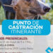 Municipio de Lanús continúa con el servicio gratuito de castración