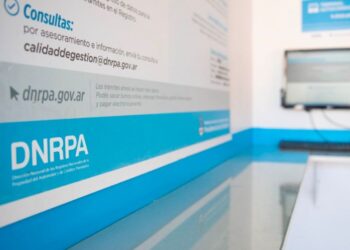 El Gobierno anunció que reducirá el 40% de los Registros del Automotor
