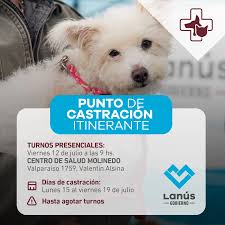 Punto de castración itinerante: nuevos turnos presenciales en Valentín Alsina