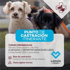 Nuevos turnos presenciales para el Punto de Castración Itinerante en Lanús Oeste