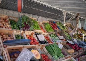 Lanús Gobierno trasladará la Feria Franca de Gerli