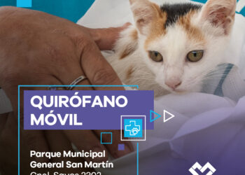 Nuevos turnos para el Quirófano Móvil en el Parque Municipal General San Martín