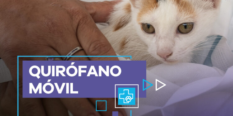 Nuevos turnos para el Quirófano Móvil en el Parque Municipal General San Martín