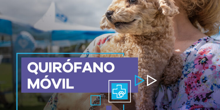 Nuevos turnos para el Quirófano Móvil en el Parque Municipal General San Martín