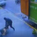 Lanús: intentaron sacarle la mochila pero lo salvaron los gritos