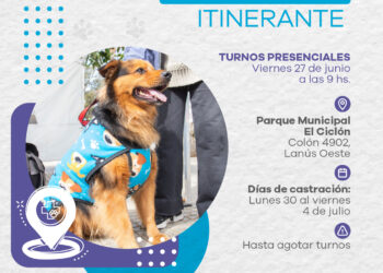 Lanús Gobierno dará nuevos turnos gratuitos para el servicio de castración de mascotas 