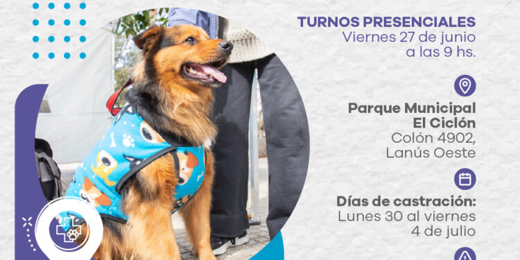 Lanús Gobierno dará nuevos turnos gratuitos para el servicio de castración de mascotas
