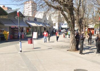 Cosa de Loco: Discutieron por un celular y asesinaron a un joven en la estación de Lanús