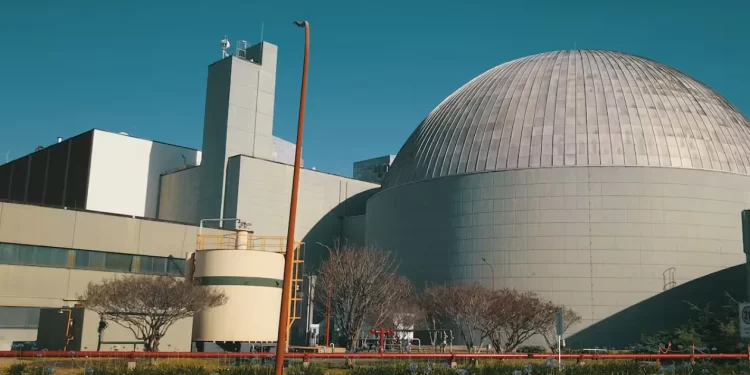 Cosa de Loco: El Gobierno vende la empresa de energía nuclear argentina