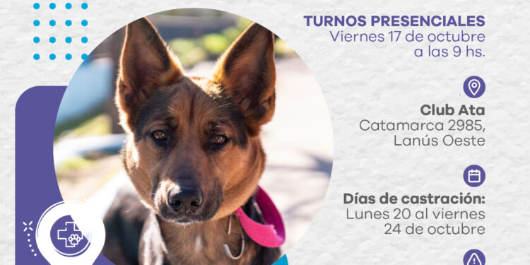 Lanús Gobierno dará nuevos turnos de Castración Itinerante en Lanús Oeste