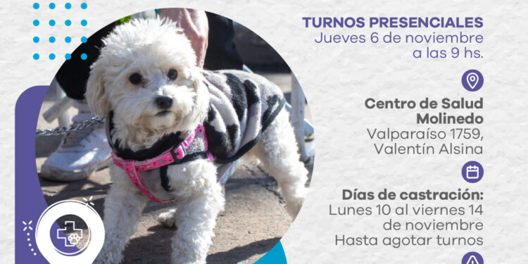 LANÚS GOBIERNO REALIZARÁ UN NUEVO PUNTO DE CASTRACIÓN ITINERANTE EN VALENTÍN ALSINA