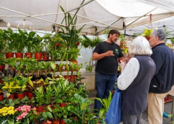 LANÚS GOBIERNO INVITA A PARTICIPAR DE LA TERCERA JORNADA DE LA “EXPO
