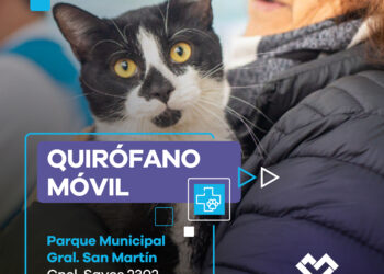 LANÚS GOBIERNO SIGUE CON EL QUIRÓFANO MÓVIL EN EL PARQUE MUNICIPAL GENERAL SAN MARTÍN