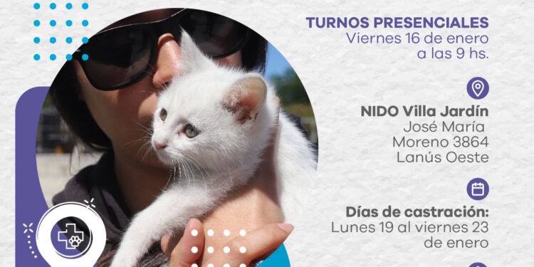 LANÚS GOBIERNO SIGUE CON EL PUNTO DE CASTRACIÓN ITINERANTE DE MASCOTAS EN LANÚS OESTE