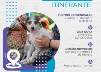 LANÚS GOBIERNO LLEVA EL PUNTO DE CASTRACIÓN ITINERANTE DE MASCOTAS A LANÚS OESTE