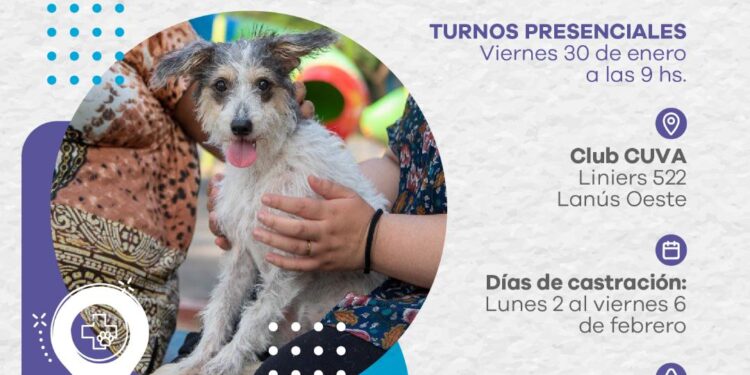 LANÚS GOBIERNO LLEVA EL PUNTO DE CASTRACIÓN ITINERANTE DE MASCOTAS A LANÚS OESTE