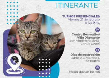 Lanús gobierno continúa con el punto de castración itinerante en Lanús Oeste