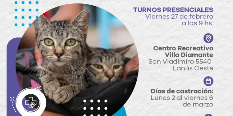 Lanús gobierno continúa con el punto de castración itinerante en Lanús Oeste