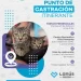 Lanús gobierno continúa con el punto de castración itinerante en Lanús Oeste