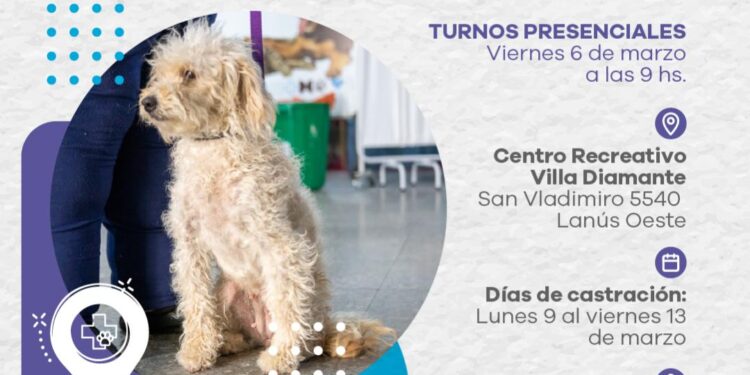 LANÚS GOBIERNO SIGUE CON EL PUNTO DE CASTRACIÓN ITINERANTE EN LANÚS OESTE