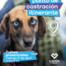 LANÚS GOBIERNO SIGUE CON EL PUNTO DE CASTRACIÓN ITINERANTE EN LANÚS OESTE