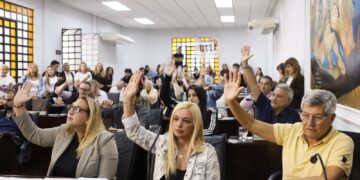 El HCD Lanús aprobó la creación del Consejo Consultivo Honorario en Discapacidad y nuevas medidas de alcance social y administrativo